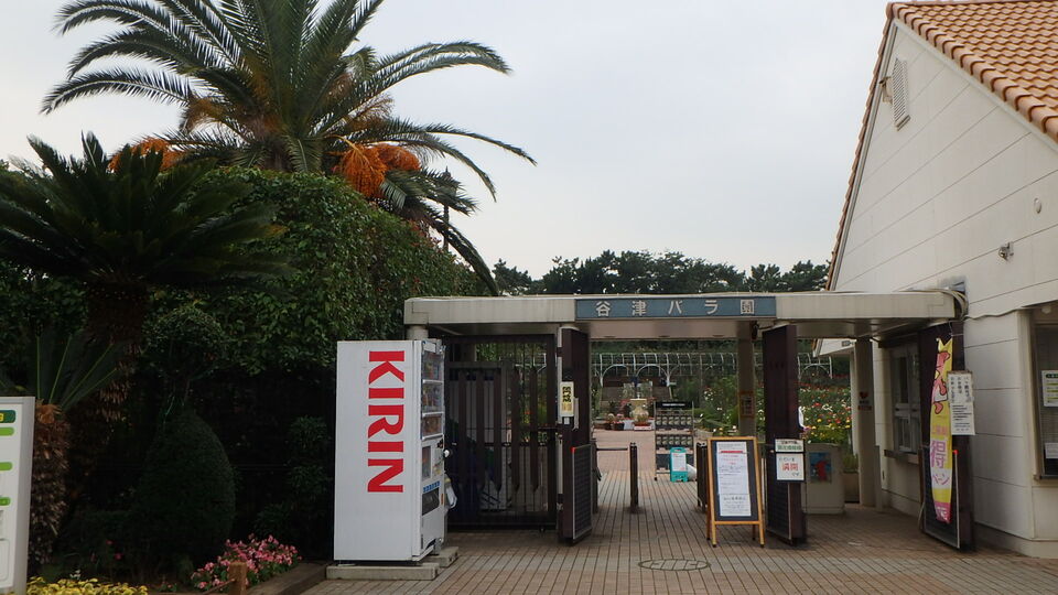 習志野市立袖ケ浦こども園 1130m 徒歩15分