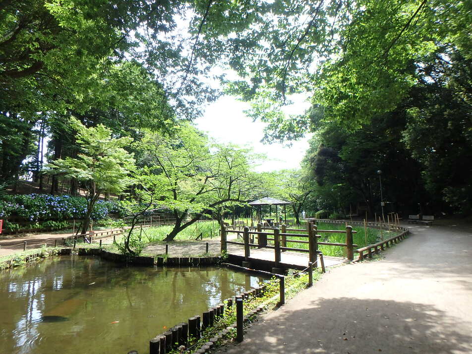藤崎森林公園　 110m 徒歩2分