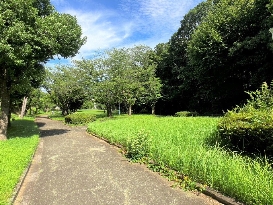 村上中央公園 812m 徒歩約11分