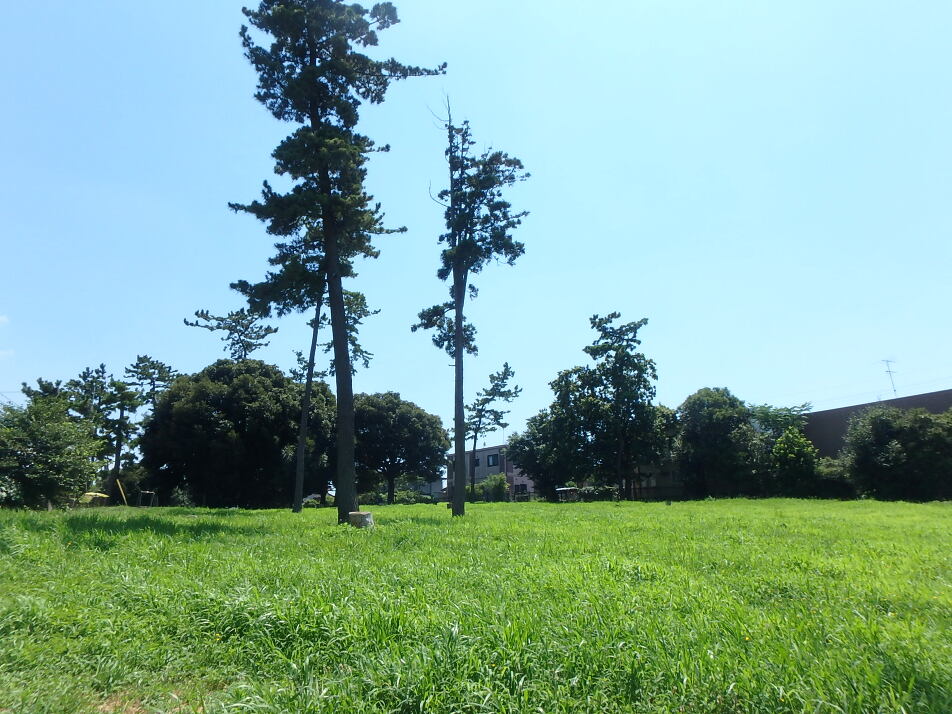 八千代台東子供の森 430m 徒歩6分