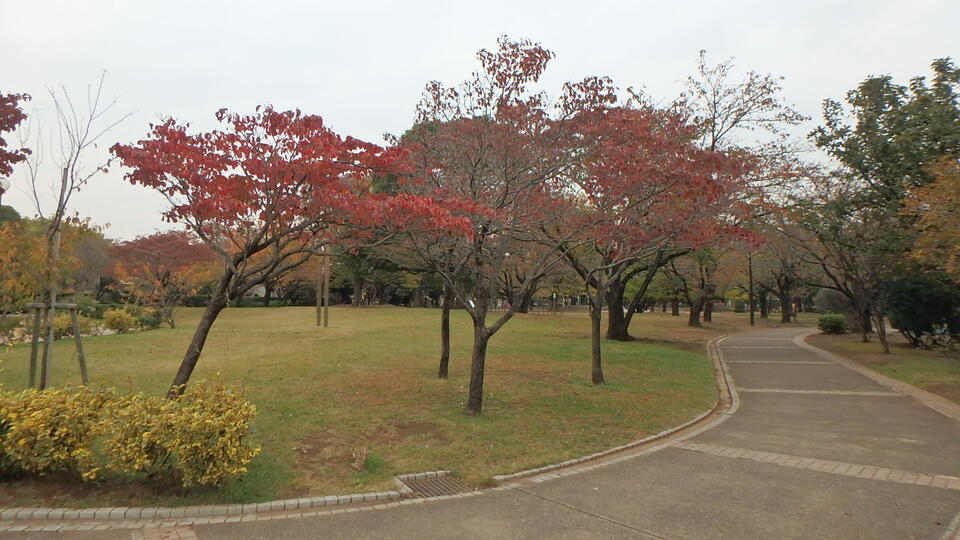 谷津公園 280m 徒歩4分