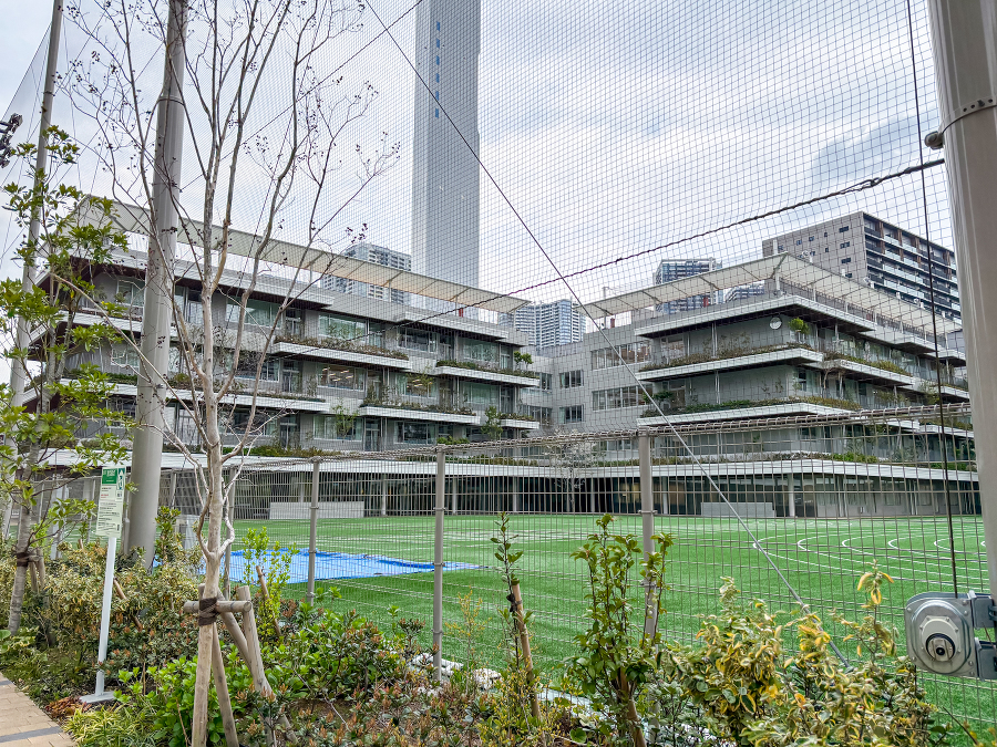 晴海西中学校 974m 徒歩13分