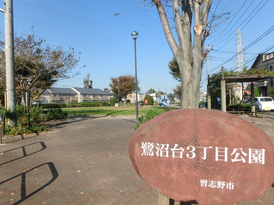 鷺沼台３丁目公園 300m 徒歩4分