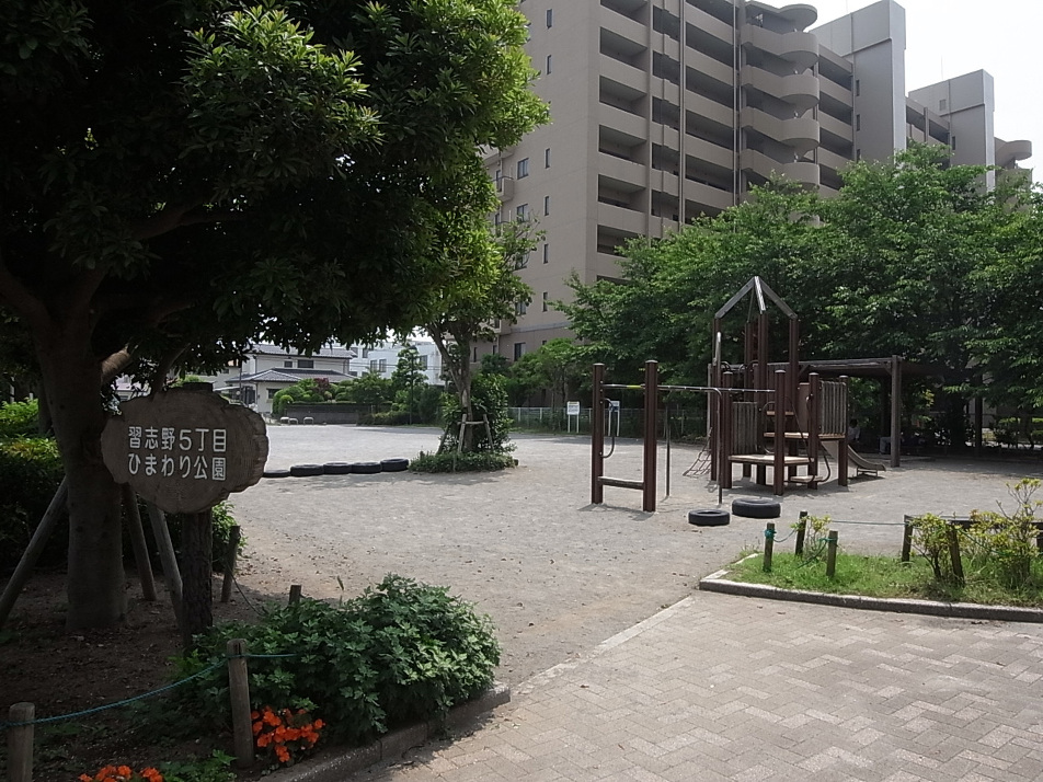 習志野５丁目ひまわり公園 440m 徒歩6分