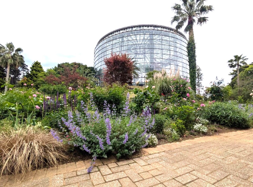 稲毛海岸公園 340m 徒歩5分