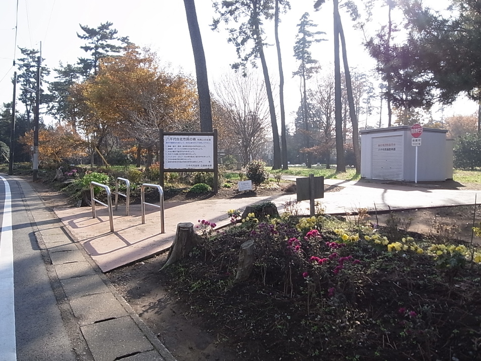 八千代台北市民の森 310m 徒歩4分