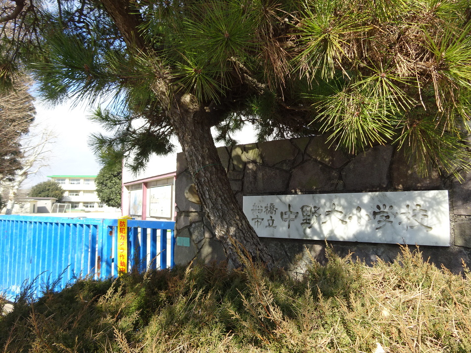 船橋市立中野木小学校 1100m 徒歩14分