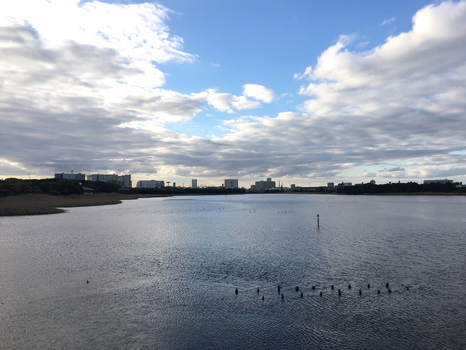 谷津干潟 610m 徒歩8分