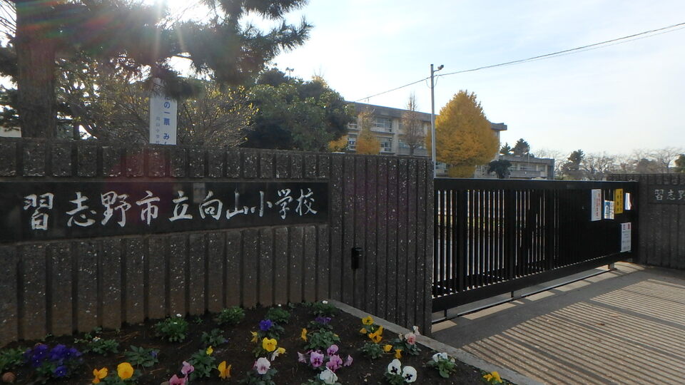 習志野市立向山小学校 838m 徒歩11分