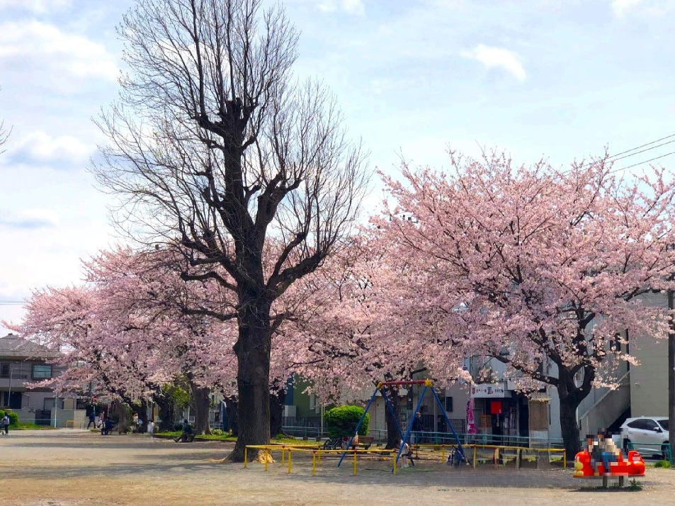 千葉市花園公園 190m 徒歩3分