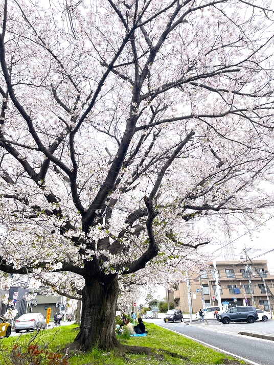 花園グリーンベルト 140m 徒歩2分
