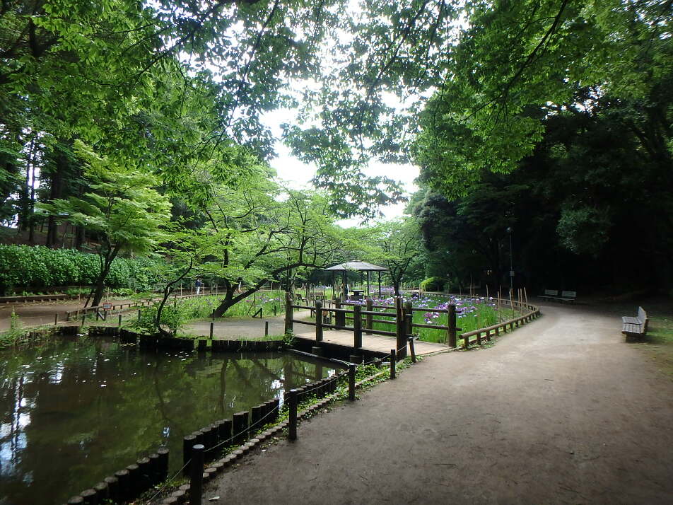藤崎森林公園 360m 徒歩5分