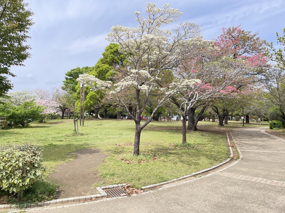 谷津公園 680m 徒歩9分