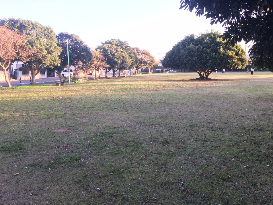 清水代公園 410m 徒歩6分