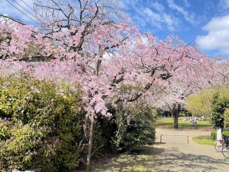 鷺沼城址公園 780m 徒歩10分