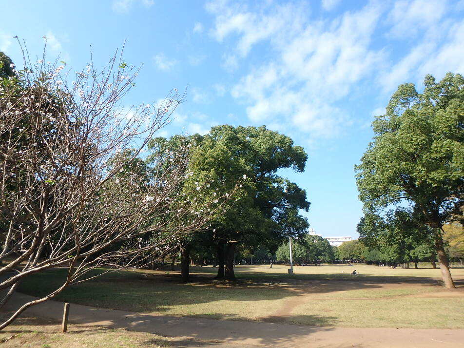 県立行田公園 750m 徒歩10分