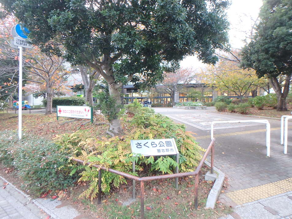 さくら公園 380m 徒歩5分