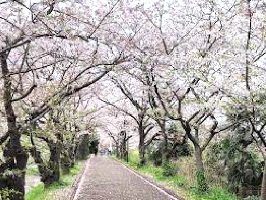 海老川広場 390m 徒歩5分
