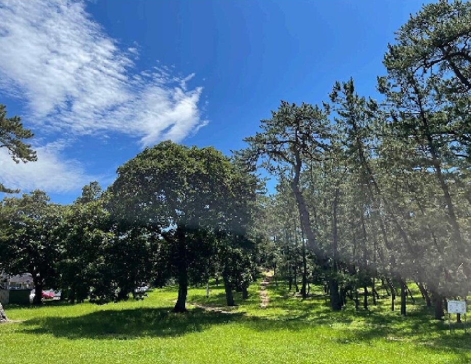 稲毛公園 170m 徒歩3分